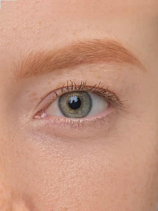 Brow Artist - Image 14