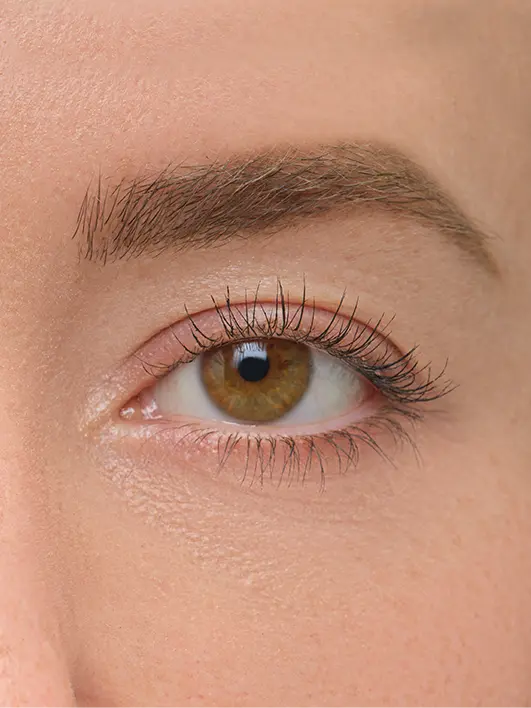 Brow Artist - Image 21
