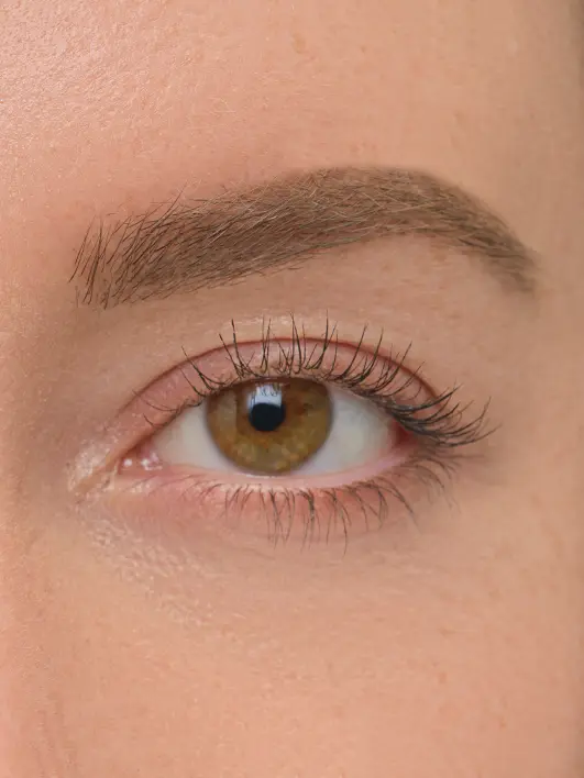 Brow Artist - Image 27