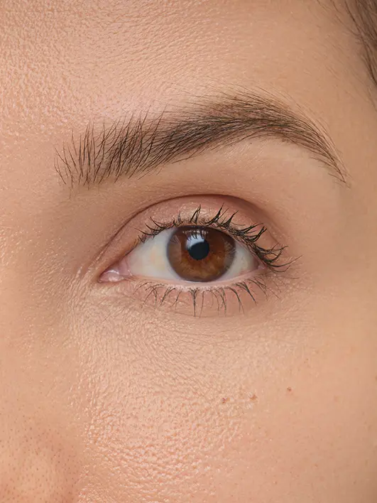 Brow Artist - Image 33