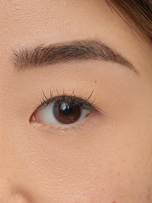 Brow Artist - Image 41