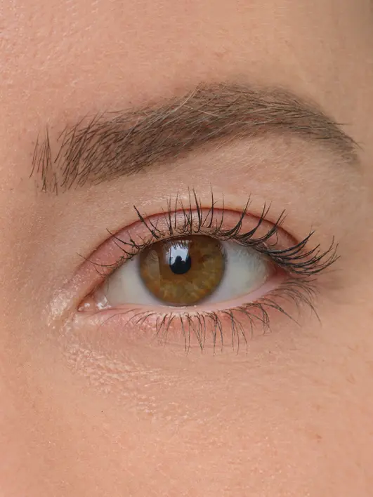 Brow Artist - Image 8